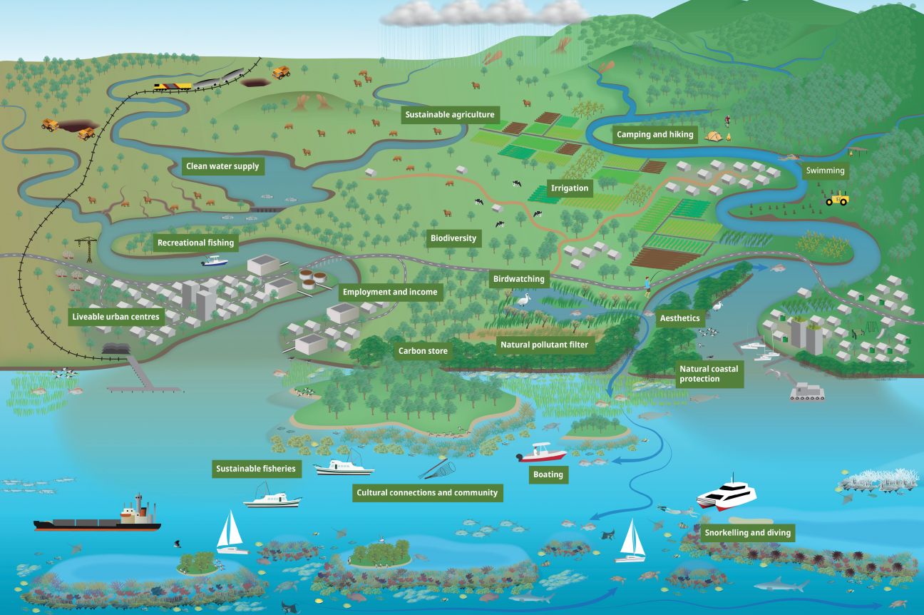Diagram of the connected ecosystem of the Great Barrier Reef