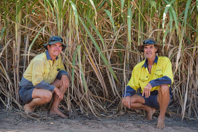 Photo of two men in yellow high-visibility shirts kneel in a sugarcane field smiling at the camera