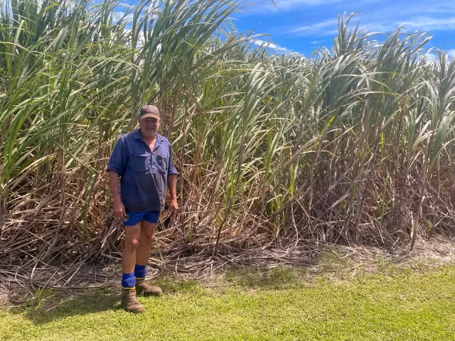 Photo of a man in work gear in front of sugarcane